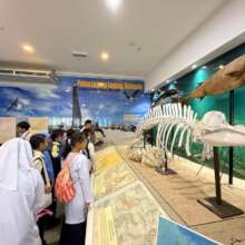 Students looking at the exhibit in the museum