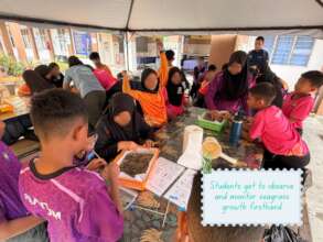 Students will monitor the growth of the seagrass