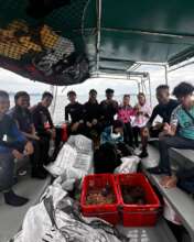 Team effort at Bakkungan Island