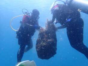 Two divers collecting trash to be disposed on land