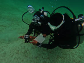 Underwater navigation skill for Rescue Dive Course