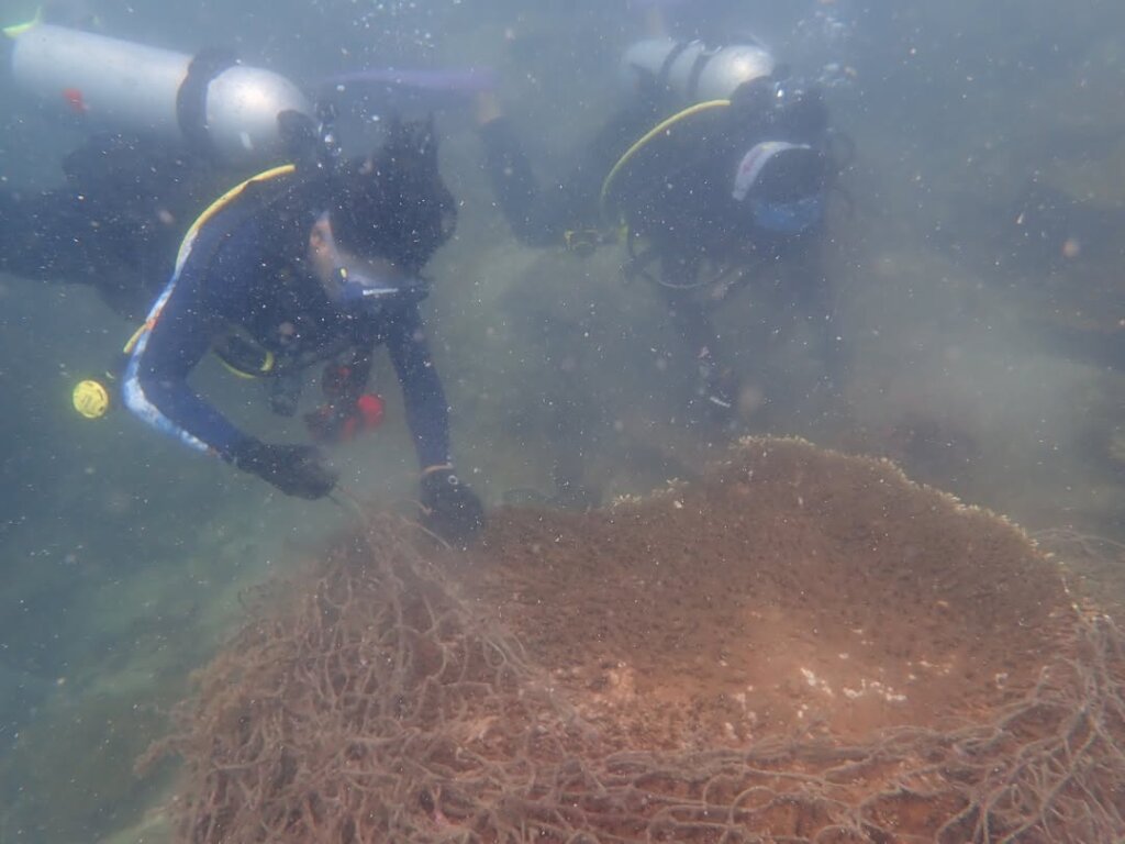 Working together to remove the entangled nets