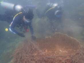 Working together to remove the entangled nets