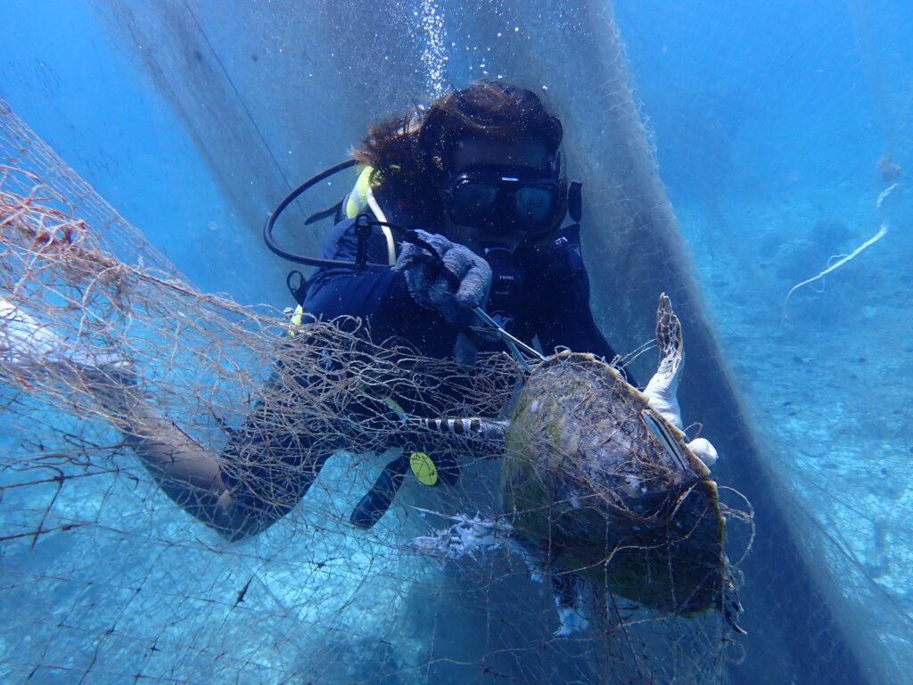 Protect Coral Reefs in Malaysia