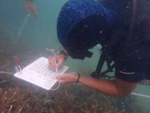 Ecodiver training -Pulau Besar & Mersing community