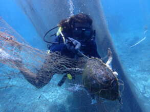Ghost net removal,Redang Marine Conservation Group