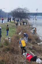 Collecting trash along the Anacostia