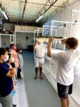 Aquaponics system demonstration