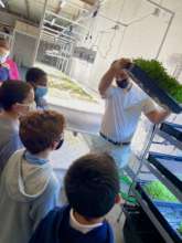 Learning how plants take in nutrients