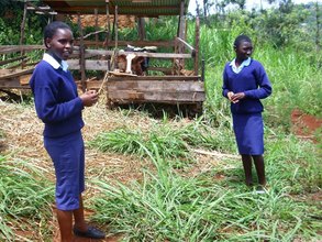 Kariti Students in the shamba