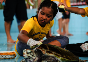 Hands On Education in Asia