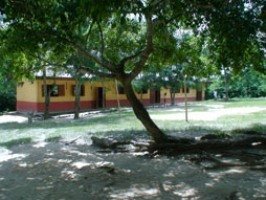 School children