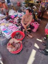 Bushmeat being sold at the Market