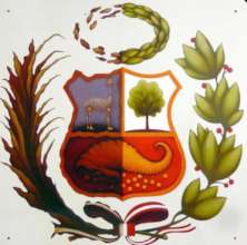 Gonzalo Garcia Callegari