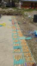 Eggs as part of the delivery bags