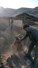Playing