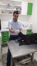 Someone visiting the veterinarian.