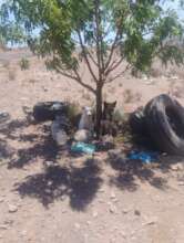 The place where they were left behind