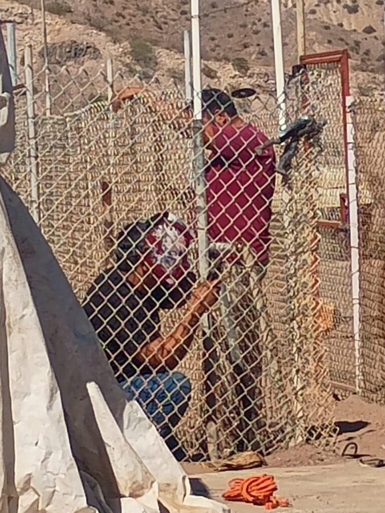 Ongoing Maintenance of kennel gates