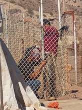 Ongoing Maintenance of kennel gates