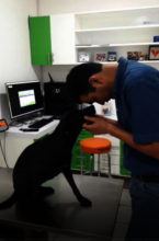 Our loving veterinarian