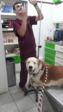 A happy visit to the vet