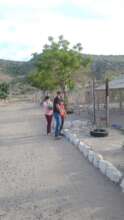 visitant