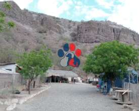 Our center and facilities