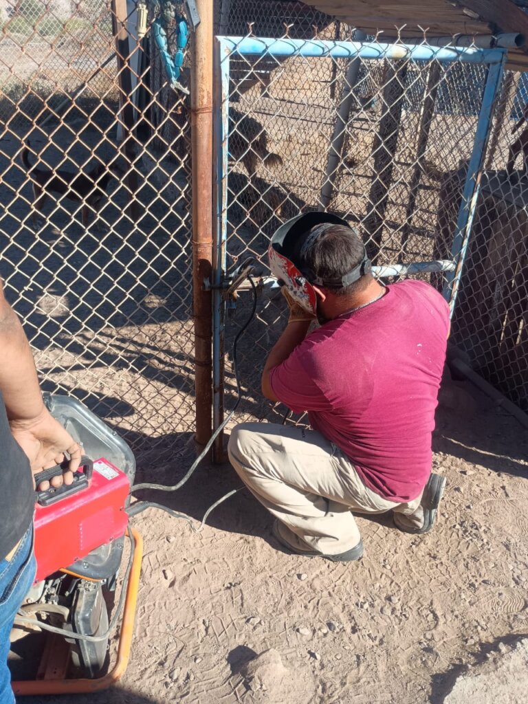Maintenance of kennel gates
