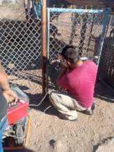 Maintenance of kennel gates