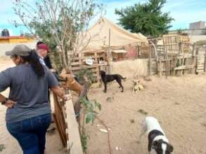 Support food to Rescue Center Vizcaino