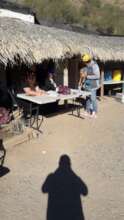 "Reception of pets for sterilization"
