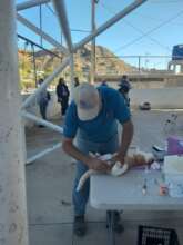 "Surgeries performed in community areas"