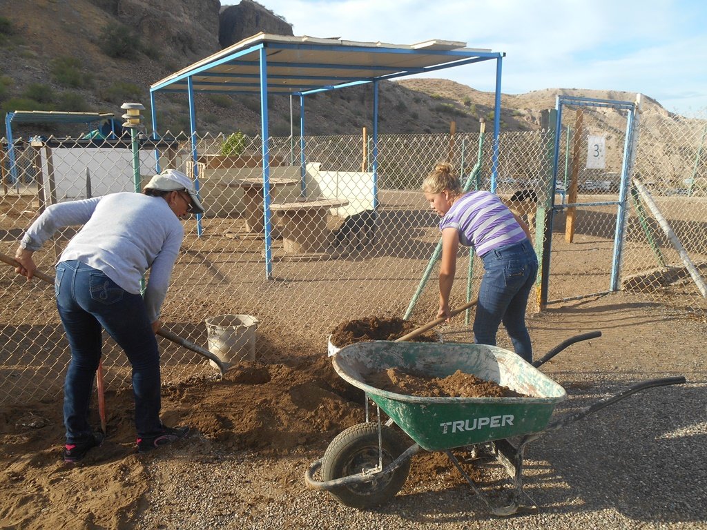 Help Rescue, Feed, Care of our Dogs at the Shelter