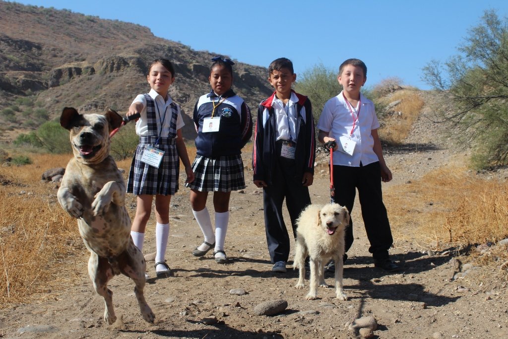 Help Rescue, Feed, Care of our Dogs at the Shelter