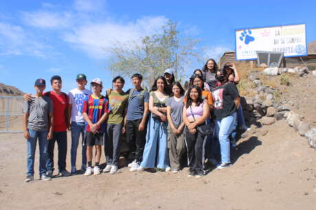 Help Rescue, Feed, Care of our Dogs at the Shelter