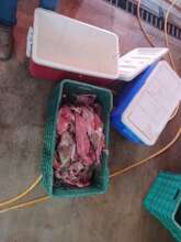 Part of the fish donated by our fishermen.