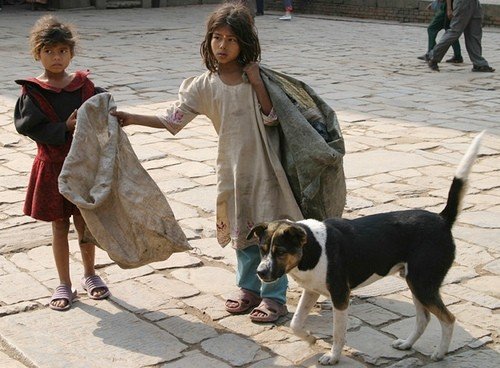 FREE OF COST STREET CHILDREN EDUCATION BANGLADESH