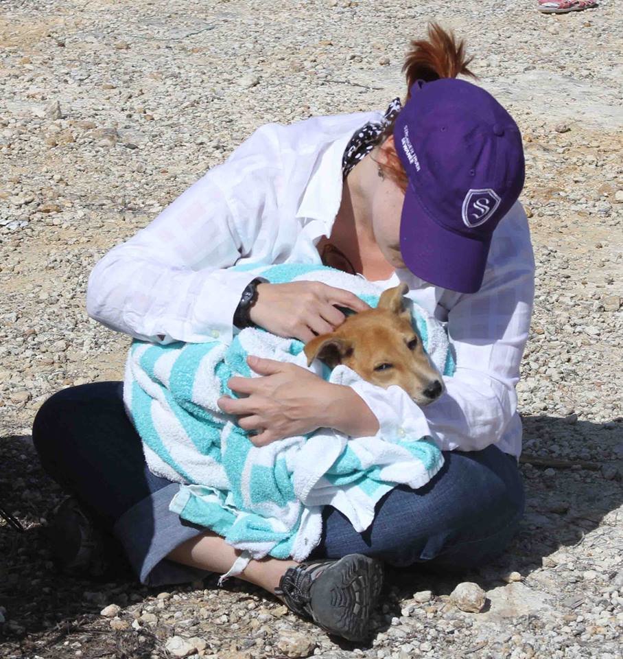 Spay/Neuter Clinic In Andros , Bahamas