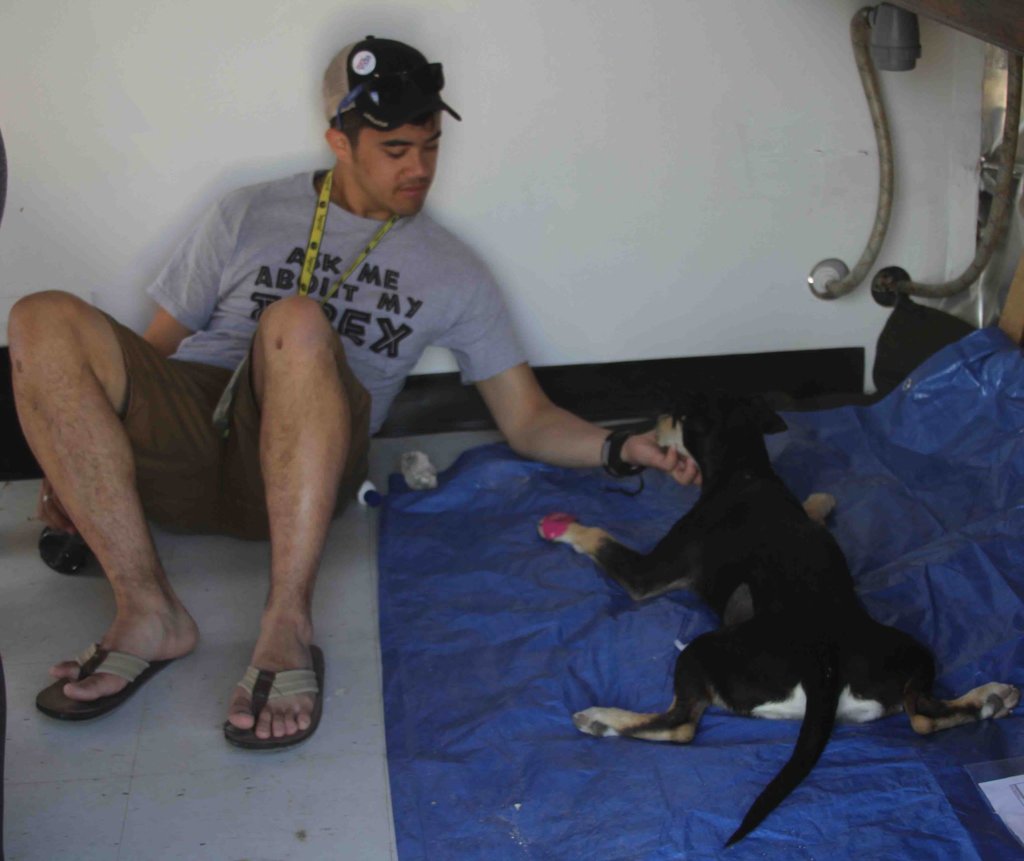 Spay/Neuter Clinic In Andros , Bahamas