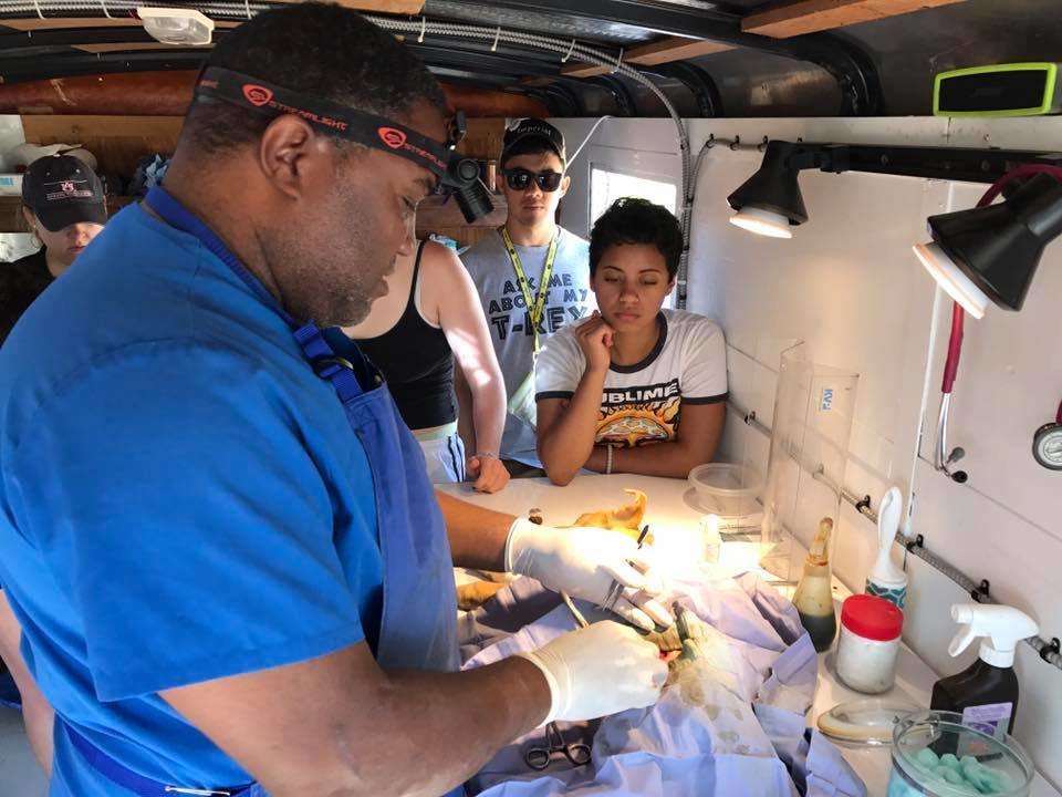 Spay/Neuter Clinic In Andros , Bahamas