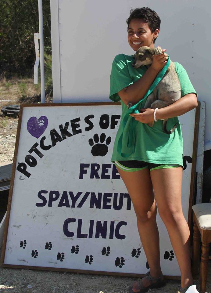 Spay/Neuter Clinic In Andros , Bahamas