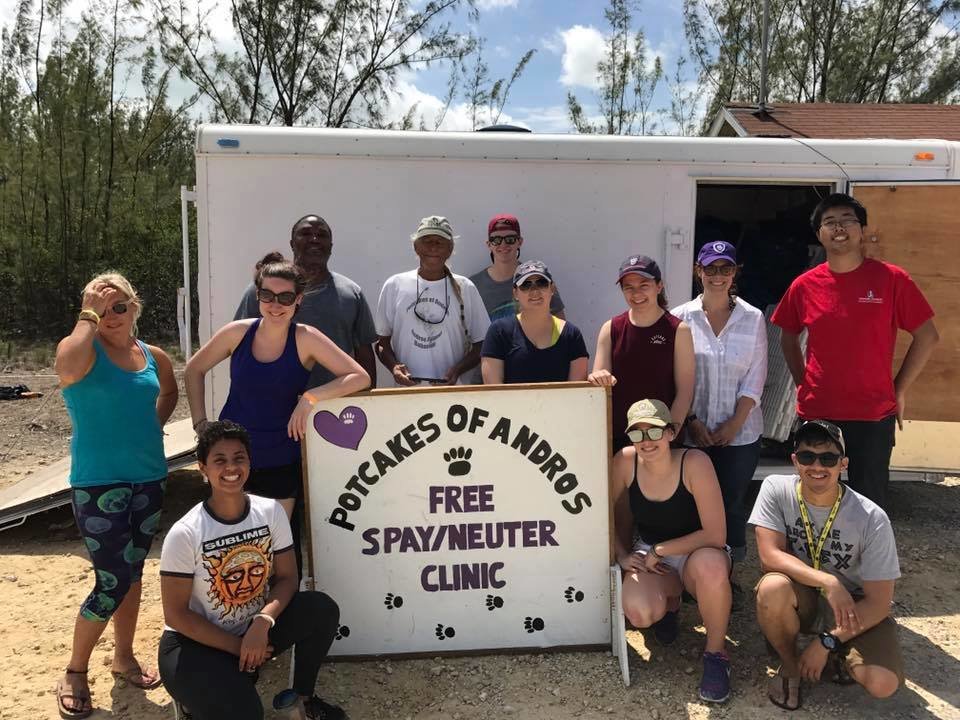 Spay/Neuter Clinic In Andros , Bahamas