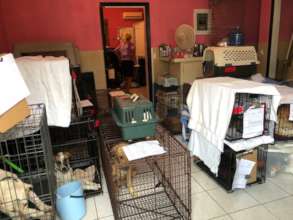 Spay & Neuter Clinic