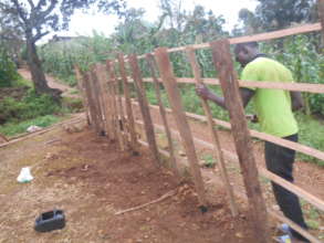 Timber fence  under construction