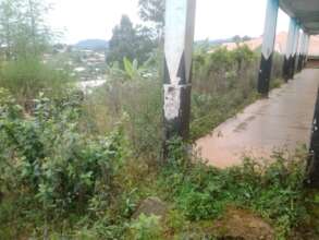 School building and environment to be kept clean