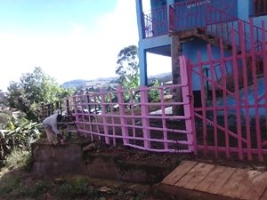 Fencing painting work