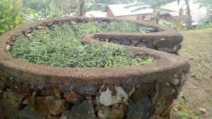 SCHOOL KEY HOLE GARDEN
