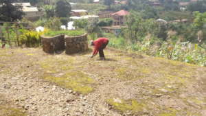 Working besides the keyhole garden