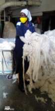 Working with Cotton in Factory